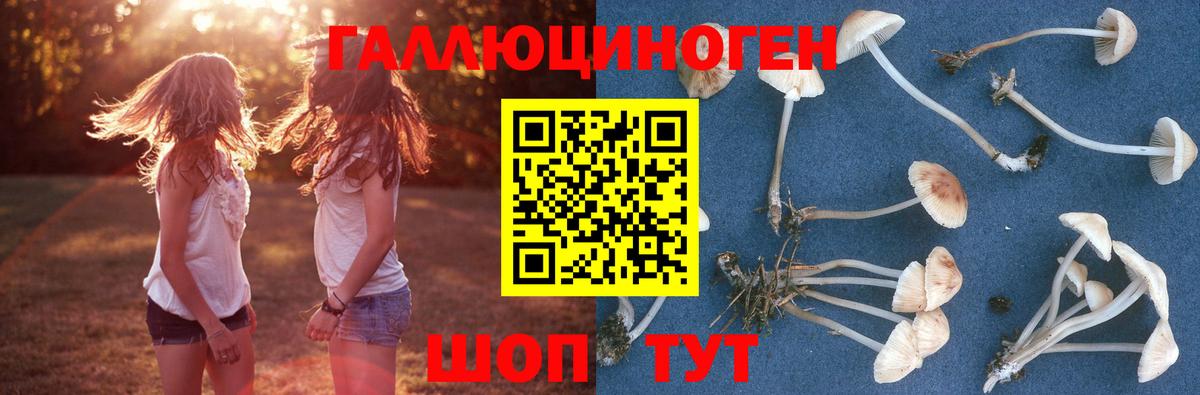 Галлюциногенные грибы мухоморы  где можно купить   Людиново  Галлюциногенные грибы ЛСД  Вход с VPN 